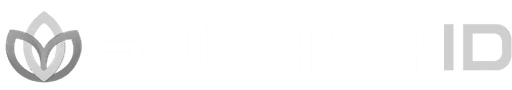 Solid logo